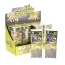 Dinosaur Skeleton Fossil Excavation Kit (Pack Of 12 Variety)