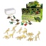 Dinosaur Skeleton Fossil Excavation Kit (Pack Of 12 Variety)