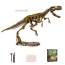 Dinosaur Skeleton Fossil Excavation Kit (T-Rex)