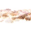 Mixed Beach Sea Shells For Decoration (Bag Of 50 Shells)