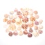 Mixed Beach Sea Shells For Decoration (Bag Of 50 Shells)