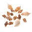Mixed Beach Sea Shells For Decoration (Bag Of 50 Shells)